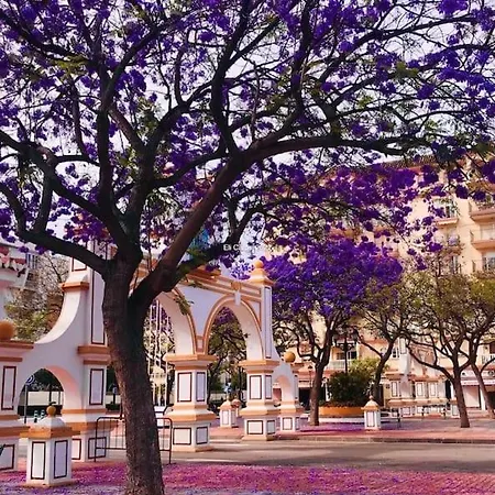 Higueronrentals Chloe By The Sea Apartment Malaga